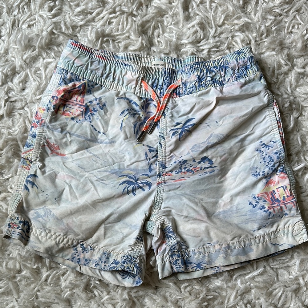 Crewcuts Swim Trunks